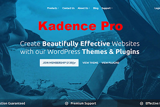 Установка лицензионной темы Kadence Pro