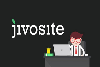 Установлю онлайн-консультанта JivoSite