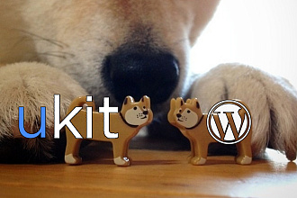 Перенос сайта с uKit на Wordpress