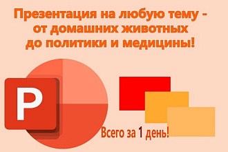 Сделаю презентацию в Power Point
