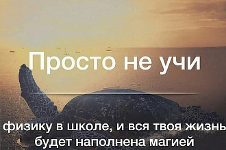 Доработка и настройка Wordpress