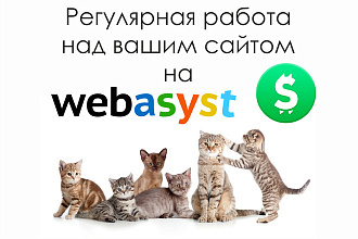 Регулярная работа над вашим сайтом на Webasyst Shop-Script