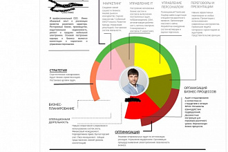 Создам инфографическое представление вашего проекта, резюме, процесса