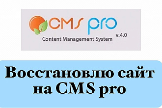 Диагностика сайта и устранение ошибок на CMS PRO, все версии