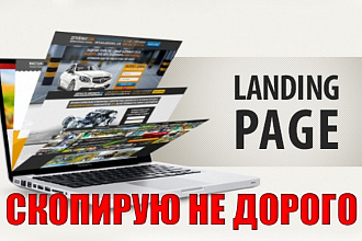 Скопирую лендинг пейдж , настрою отправку почты на ваш адрес