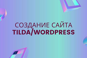 Создание сайта на Tilda или Wordpress