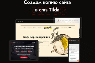 Создам копию сайта на cms Tilda