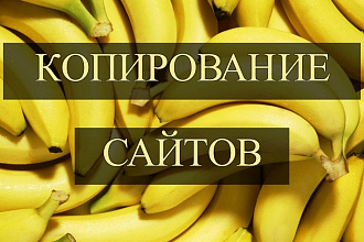 Копирование сайтов