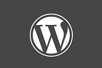 Создам адаптивный, современный, красивый landing на Wordpress