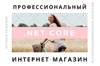 Создание профессионального интернет-магазина на NET Core