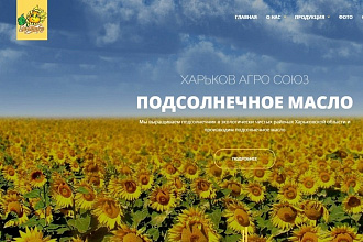 Сверстаю сайт, проведу- адаптацию