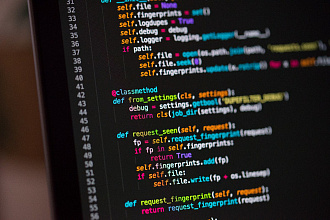 C#, python