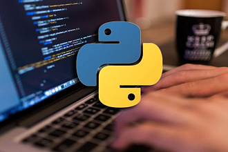 Напишу программу на Pascal, Delphi или Python