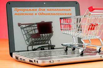 Программа по наполнению магазина в Одноклассниках
