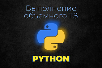 Выполнение объемного ТЗ на Python