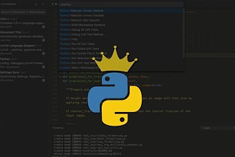 Создам полезную программу для ПК на Python