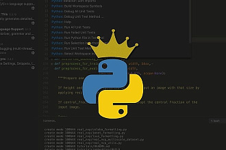 Напишу программу на Python 3