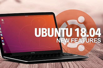 Виртуальная машина VMWare Player 15 с установленной Ubuntu 18.04 LTS
