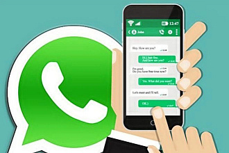 Разработка чат - бота в WhatsApp для бизнеса