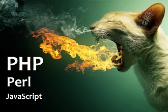 Разработка и доработка скриптов PHP, Perl, JavaScript