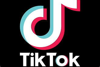 Готовый скрипт Скачать музыку и видео с TikTok без водяных знаков