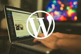 Премиум Wordpress тема