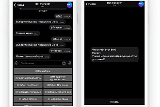 Разработка индивидуального чат бота для Telegram