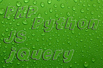 Напишу скрипт с использованием PHP, JS, jQuery, SQl, Python