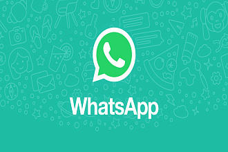 Разработка чат-бота для WhatApp