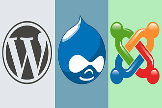 Консультация по работе с сайтом на Joomla, Drupal, Wordpress