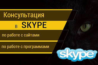 Консультация по работе на компьютере в Skype