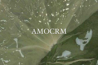 Настройка amocrm