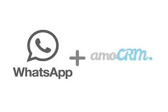 Интеграция WhatsApp и amoCRM