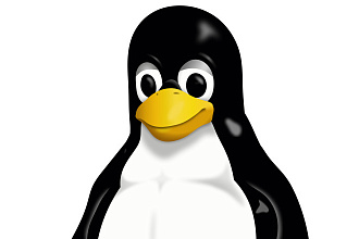 Быстрое обучение основному и специализированному ПО. Win, Linux