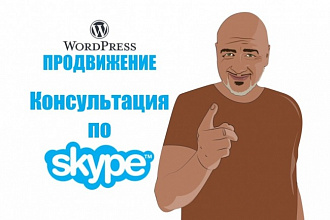 Продвижение сайта на Wordpress - консультация по скайпу