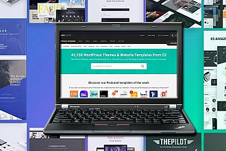 Любой премиум шаблон для вашего сайта с установкой на CMS