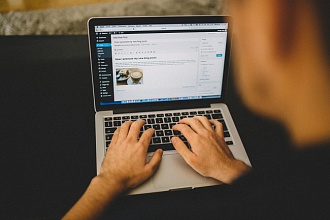 Премиум тема и плагин для WordPress