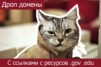 Дроп домены с ссылками с ресурсов .gov .edu