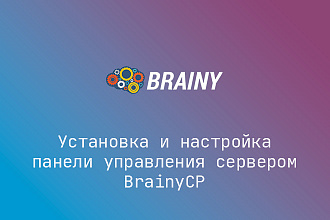 Установка панели управления BrainyCP