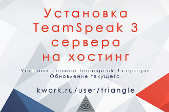 Установка TeamSpeak 3 сервера на хостинг