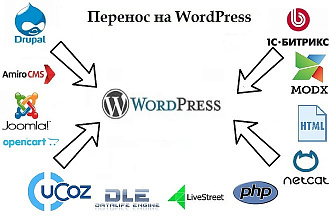 Перенос сайта на CMS Wordpress, DLE. Установлю CMS на хостинг