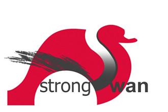 Установлю и настрою strongSwan IPSec
