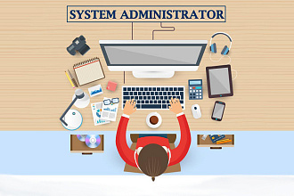 Network administrator