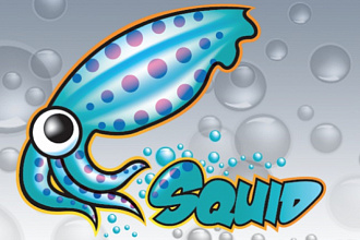 Установка и настройка прокси-сервера Squid