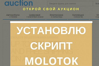 Помогу установить скрипт аукциона Molotok