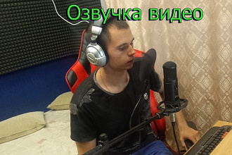Озвучу видео