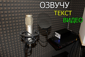 Озвучу текст
