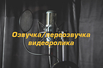 Озвучка и переозвучка видеоролика