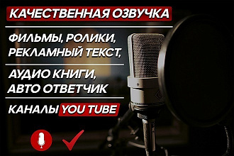 Сделаю любую озвучку
