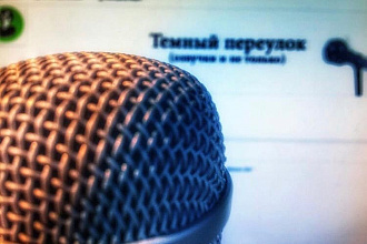 Озвучу персонажа или прочитаю текст с дикторской интонацией. Имею опыт